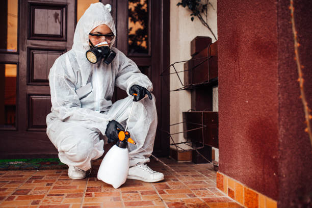 Reliable Bed Bug Control contractor in Pleasant Hill, PA by Nex Pest Control