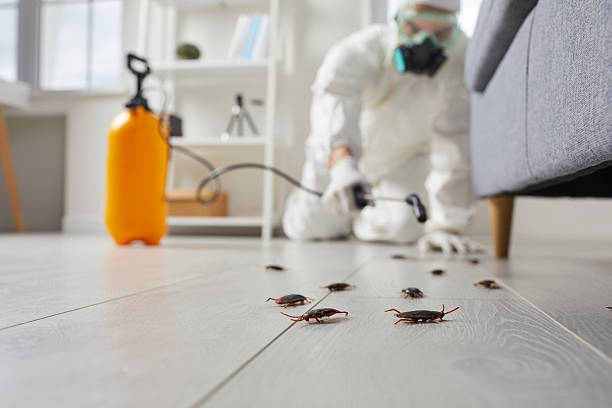 Trusted Termite Control service in Pleasant Hill, PA - Nex Pest Control