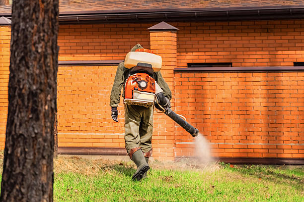 Trusted Rodent Control service in Pleasant Hill, PA - Nex Pest Control